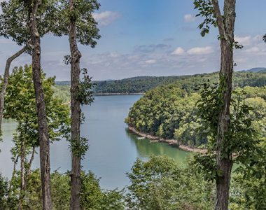 View through trees of Lake Cumberland, Somerset-Pulaski County, Kentucky