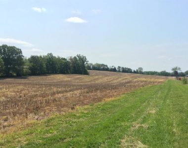 Vacant land for sale at 160 Thurman Road, Somerset KY
