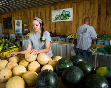 Family owned farm produce store, Somerset-Pulaski County, Kentucky